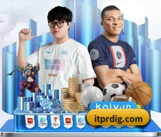 kaiyun体育在线入口 APP