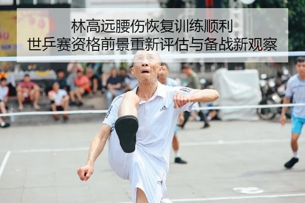 林高远腰伤恢复训练顺利 世乒赛资格前景重新评估与备战新观察